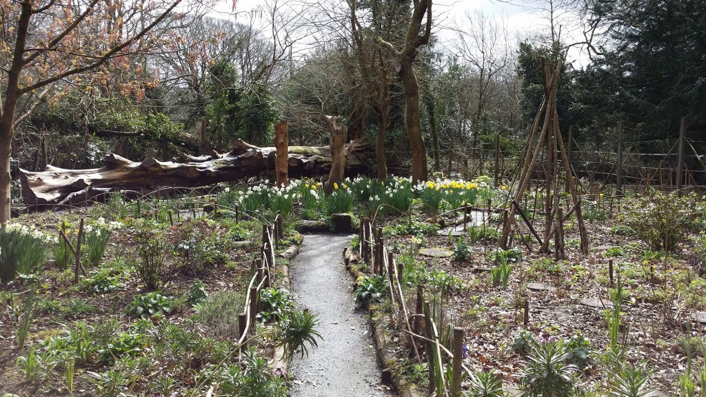 Rose Garden in Tehidy Country Park, Cornwall