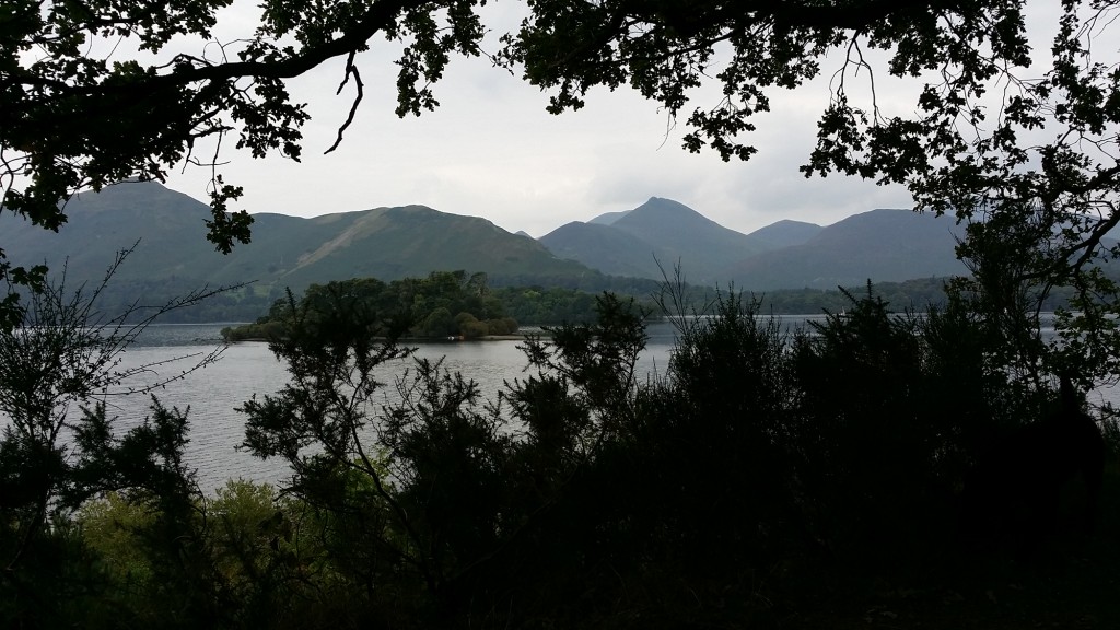 Derwent water - through the branches