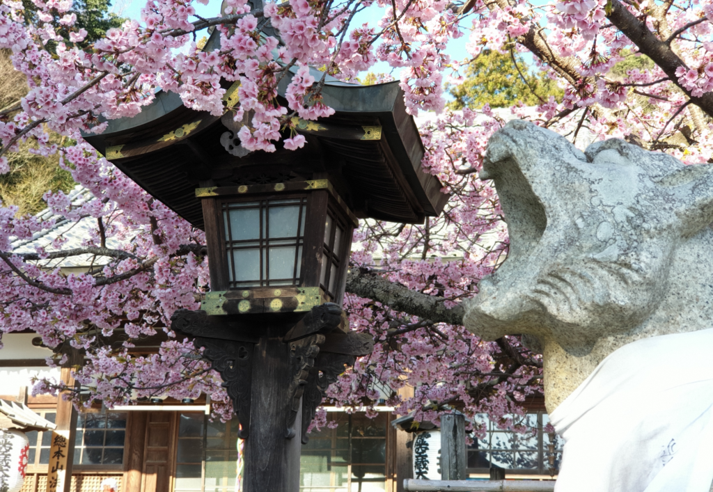 H?rinji Temple, Kyoto